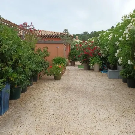 Studio Cigalines