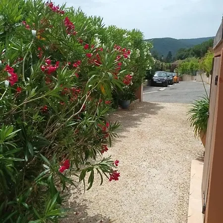 Studio Cigalines Apartmán *